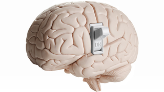 Científicos localizan el "interruptor" de la consciencia en el cerebro